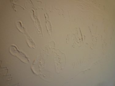 ～呼吸する塗り壁(ダイアトーマス)と無垢の板張り天井‼